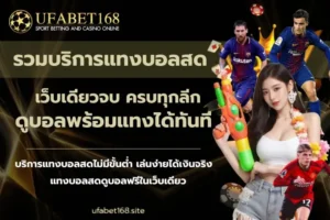 เว็บแทงหวย เปิดบริการแทงหวยหลากหลายประเภท เว็บเดียวครบ 2024 11 รวมบริการแทงบอลสด